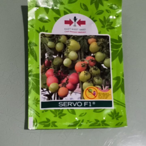 Benih Tomat Servo F1 1750 Butir: Panduan Lengkap