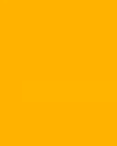 Abon Ayam Tunggal Roso 100 Gr: Lezat & Sehat