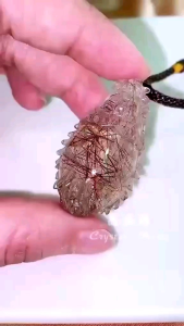 [MY🇲🇾 Ready Stock]铜发晶龙龟吊坠Copper Rutilated Quartz Dragon Turtle Pendant｜招财助运 ✦ 辟邪挡灾  ✦ 旺人缘｜