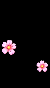 JW2231 Sendok Sup Sayur | Centong Kuah | Soup Apoon Long / Sendok Sup Stainless Steel 304