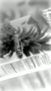 Pran Jus buahan kotak 1 Liter ( 4 kotak)