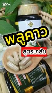 ☘️พลูคาวเเคปซูล สูตรเภสัช ตราทองหลวง ของเเท้☘️