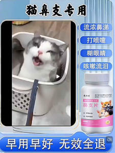 猫鼻支特效专用口服片猫咪打喷嚏流鼻涕专用预防呼吸道感染猫杯状