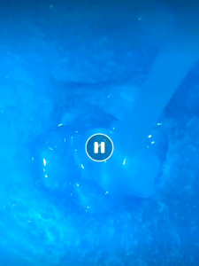 Growniella Cool Menthol Shampoo: A Refreshing Natural Hair Care Solution