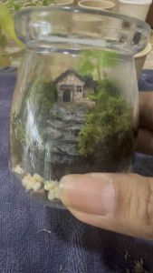 Mini Terrarium in Glass Jar - Mini House | DIY Indoor Plant Decoration | Cute Gift for Home & Office Table Décor