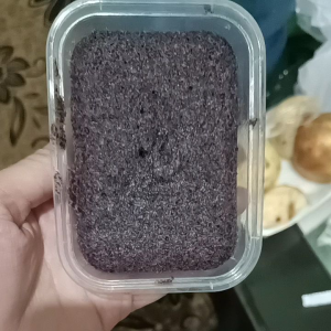 BOLU KETAN HITAM KUKUS KEMASAN LUNCH BOX 200 ML Snack Tradisional Indonesia Makanan Praktis Instant - Lazada