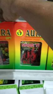 BIBIT TOMAT SAYUR TAHAN VIRUS HANDAL F1 ISI 5 GRAM AURA SEED Setara Benih Servo F1 Panah Merah