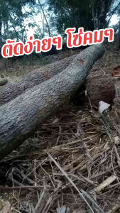 โซ่เลื่อยยนต์STIHLขนาด12นิ้ว 22ฟัน 22.5 23 23.5 24 25ฟัน3/8Made in Switzerland ฟันเหลี่ยม