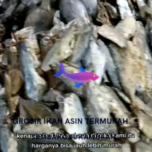 Ikan Asin Kapasan Kering Super - 500 Gram