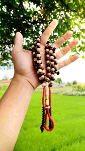 Tasbih Unab Maroko Mix Oud Sholib Putih Maroko