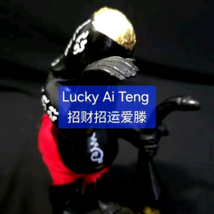 Ai Teng Lucky Wealth Bucha 招财招运爱滕 供奉型 Lp Non 龙婆侬 pendant
