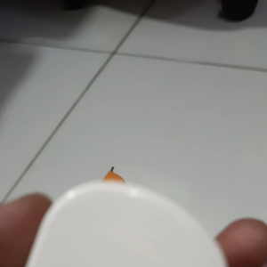 steker Ac BRIGHT-G. steker/colokan Ac bright per 1pcs