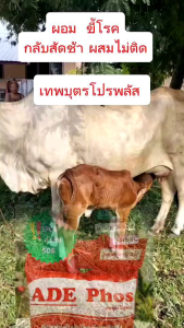 เทพบุตรโปรพลัส1กก.แร่ธาตบำรุงสัตว์