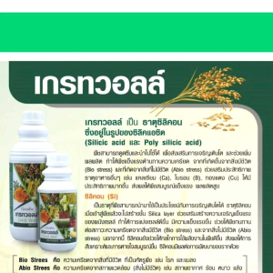 ปุ๋ย ปุ๋ยกิฟฟารีน ปุ๋ยทางใบ ปุ๋ยน้ำ ฮอร์โมนทางใบ เกรทวอลล์ giffarine ธาตุซิลิกอน เพิ่มความแข็งแรง ความทนทานให้กับเซลล์พืช ละลายน้ำง่าย ไม่อุดตันหัวฉีด เพิ่มผลผลิตไว ของแท้ ใช้ง่าย ฉีดพ่นได้กับผักสวนครัว