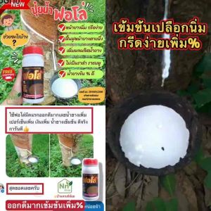 ปุ๋ยน้ำฟอโล่ บำรุงหน้ายาง (โฉมใหม่)โปร 1 ขวด