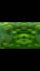 เซ็ตสุดคุ้ม 3 ซอง ชาชงมะระขี้นก (ธันยพร 20ซองชา/ซอง)