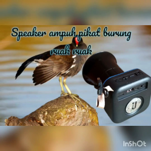 Speaker Mini Bluetooth Kombinasi Pikat Burung Ruak Ruak dengan Memori 1GB