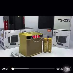 YS-223新款无线蓝牙麦克风音箱家庭KTV电视剧手机K歌话筒音响一体