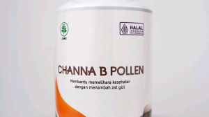 Channa B Pollen 60kapsul Kapsul ikan gabus / kutuk premium plus kebaikan dari beepollen