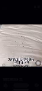 下水道管道除小飞虫灭杀神器驱虫杀虫剂卫生间厕所除蛾蚋蠓药杀虫