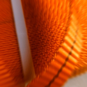 tali sabuk webbing trek belt ratchet tie down 1 inch / 25 cm tebal breakload 3 ton harga per meter