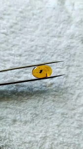 รอบที่-2 ก-25 อำพันแบบมีดอกสวยงามแบบธรรมชาติ อำพันแท้ 100%