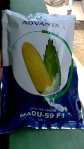Benih Jagung Manis Madu-59 F1 Advanta isi 250 gram
