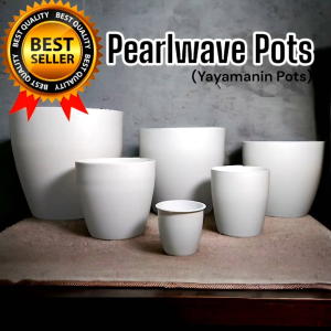 Yayamanin Pots ( Pearlwave Pots) For Sale!! | Great for you Favorite | Indoor and outdour Plants!