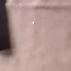 Novel Sang Penandat by Te** L*ye