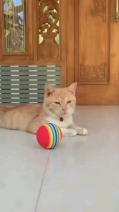 BOLA RAINBOW MAINAN KUCING 35 CM