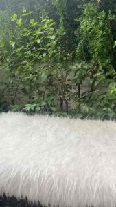 ตะกร้า เงิน ตะกร้าทอง ริ้บบิ้น ใส่เหรียญโปรยทาน กระเช้าผลไม้ ตะกร้าใส่ของชำรวย พร้อมตกแต่ง โบว์เปลี่ยนสีได้ ตะกร้าสังฆทาน ทำบุญ