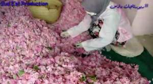 Morocco Rose Water Rose Bloom Mist Hydration Tones Skin Toner