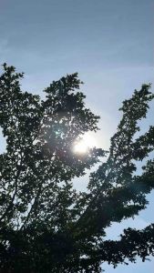 Durra Abaya Set Khimar: Abaya Polos Syari Busui Wudhu Friendly