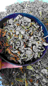 Teh Hijau Murni | Asli teh Organik dari pegunungan 1 Kg