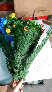 LÁ DƯƠNG SỈ GIẢ. CỤM 15 LÁ CẢ MẦM