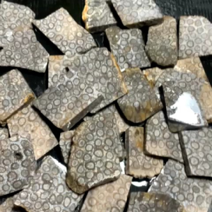 Batu Teratai Hitam: Bahan Alami untuk Dekorasi Interior