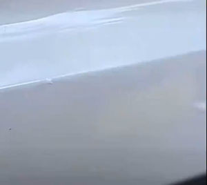 Sg seller Paint Surface Scratch Repair Pen Repair Tool Car Touch Up Pen brush