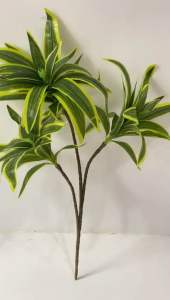 Tanaman Palsu Song of India: Dekorasi Interior Rumah yang Cantik