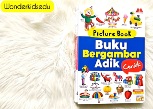 Buku Bergambar Pertama My Early Picture Book Kamus Bergambar Picture Dictionary Prasekolah Preschool