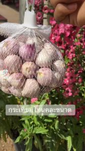 กระเทียมโทนคละขนาด 500 กรัม