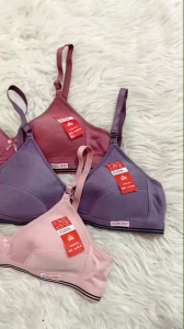 GROSIR !! Sport BH bra 6 pcs Bh Bra Wanita Dewasa tanpa kawat busa