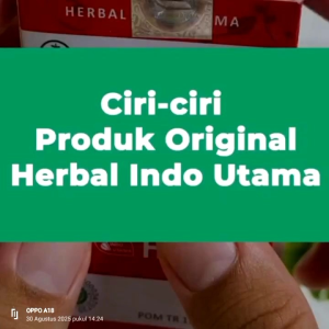 HABBATUS SAUDA OIL Jaga Imunitas Tubuh Herbal Indo Utama