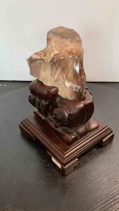 TSK Crystal  SHY039 天然树化玉 黄里透白 色泽圆润 特制雕刻实木底座 Natural Tree Fossil Jade