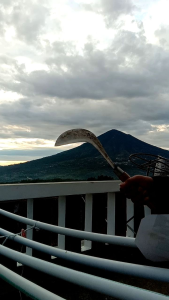 arit sabit asli baja per bilah halus pinising maksimal Arit alat pertanian Pemangkasan Pada Rumput