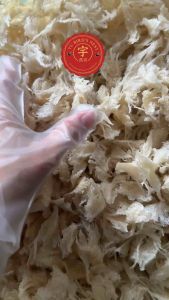 Yu Birds Nest. Sarang Burung Birds Nest (Head Wings Corners) | Ready Stock [10g 20g 30g]