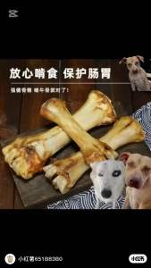 🐶 Premium Saiz Besar Tulang Lembu Snek Anjing 🐶 狗狗零食磨牙棒牛棒骨/大骨头/中大型小型幼犬/洁齿/训练/奖励宠物/磨牙/bone/rawhide/dog grinding