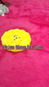 thảm lông lót sàn thảm lông lót sopha thảm lông lót phòng khách thảm lông lót phòng ngủ  thảm lông chụp hình thảm lông giá rẻ  Tình Lê house