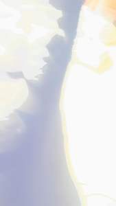 DISTRIBUTOR BASRENG MENTAH SPESIALIS KERIPIK BASRENG