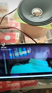 speker 4in magnet tebal