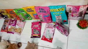 makanan kucing TOPPET 800g